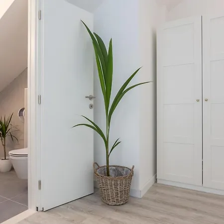 Bogo-galijun Casa de hóspedes Mokošica